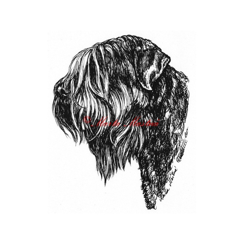 Samolepka černý ruský teriér