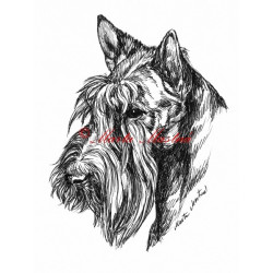 Samolepka skotský teriér