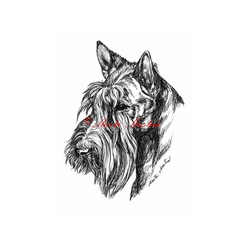 Samolepka skotský teriér