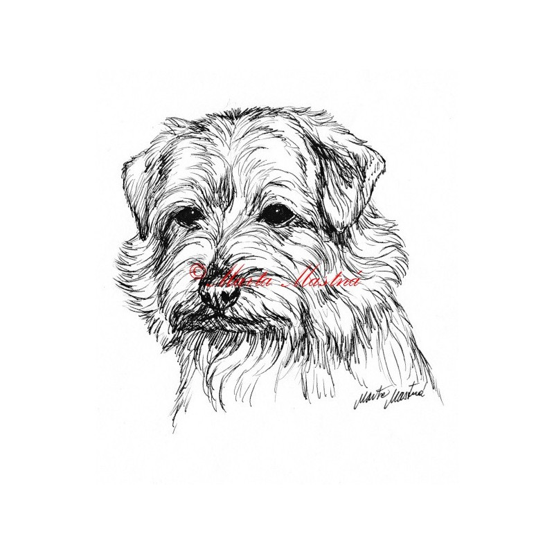 Samolepka norfolk teriér