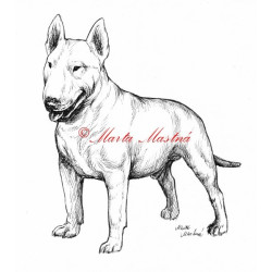 Samolepka bulteriér