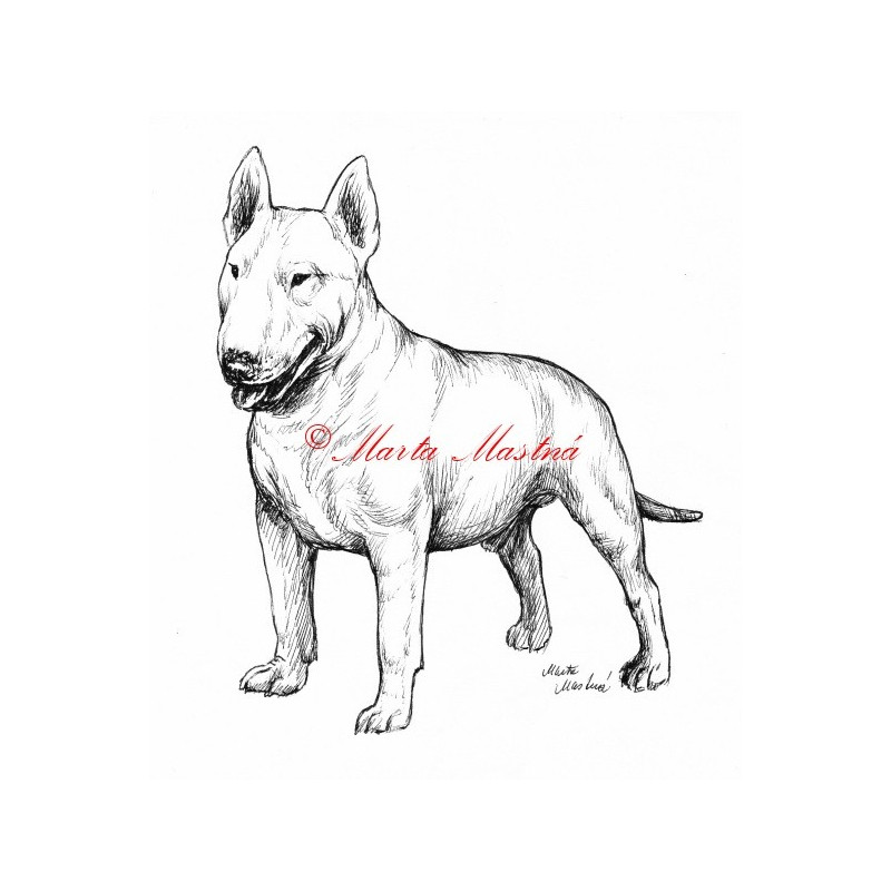 Samolepka bulteriér