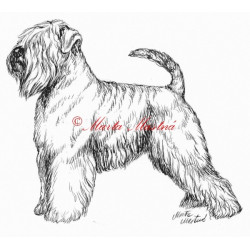 Samolepka pšeničný teriér, soft coated wheaten