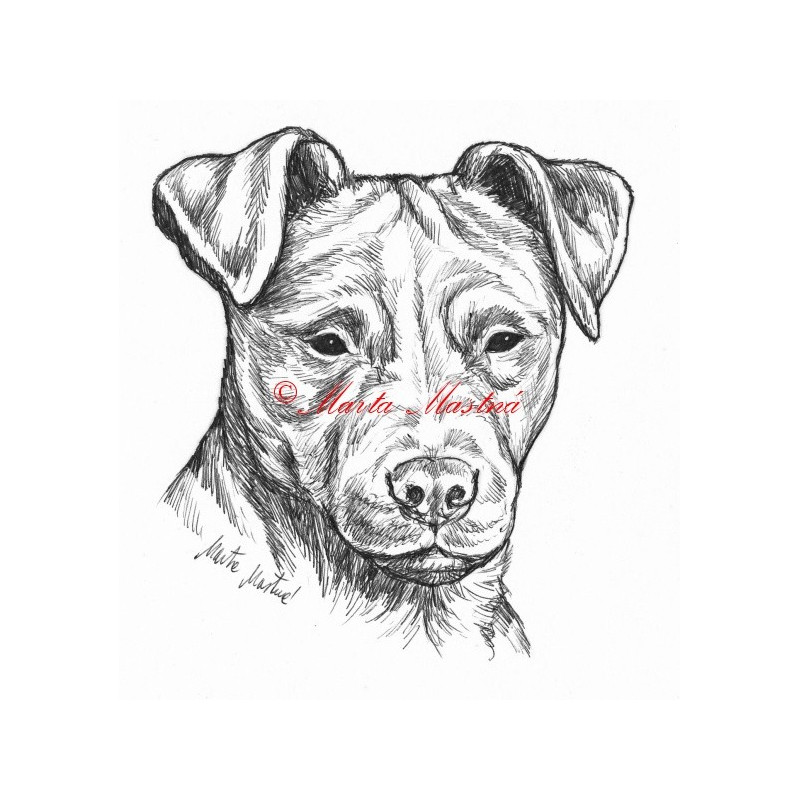 Samolepka patterdale teriér