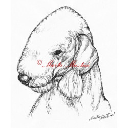 Samolepka bedlington teriér