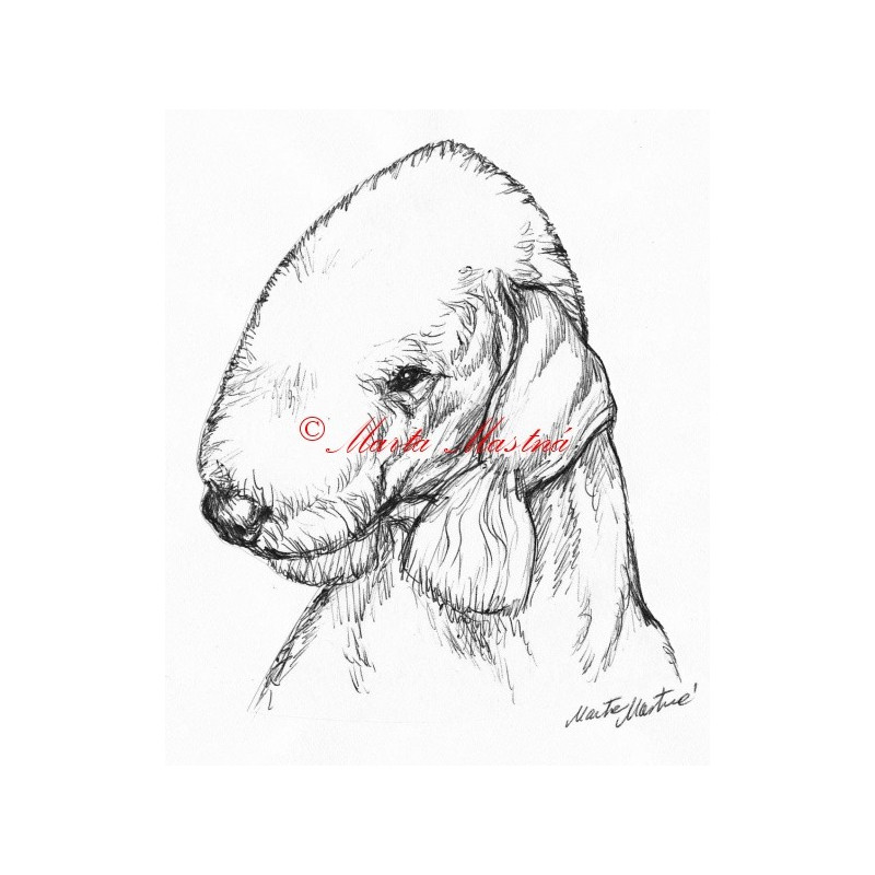 Samolepka bedlington teriér