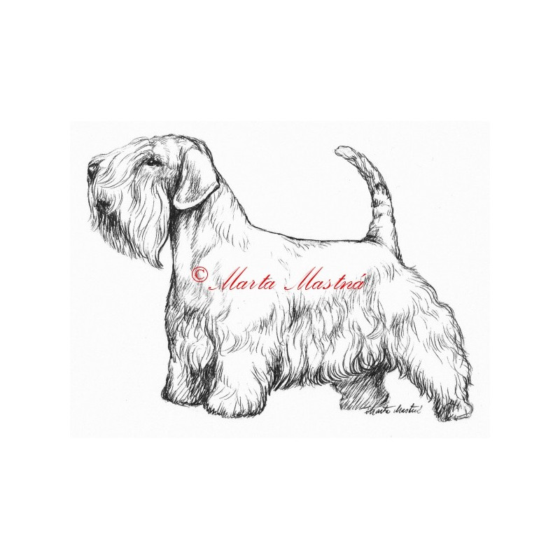 Samolepka sealyham teriér