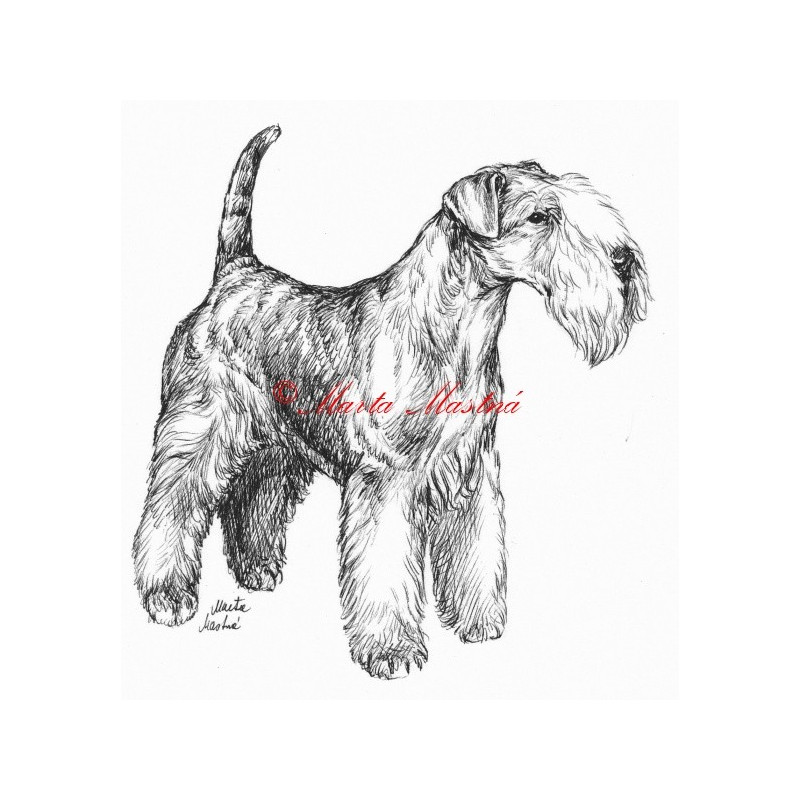 Samolepka lakeland teriér