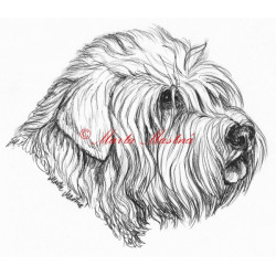 Samolepka Glen of Imaal teriér