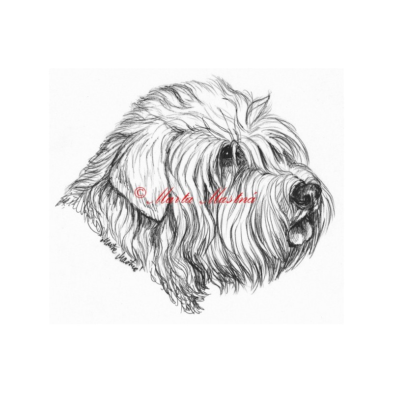 Samolepka Glen of Imaal teriér