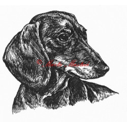 Samolepka jezevčík hladkosrstý