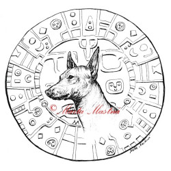 Samolepka peruánský naháč