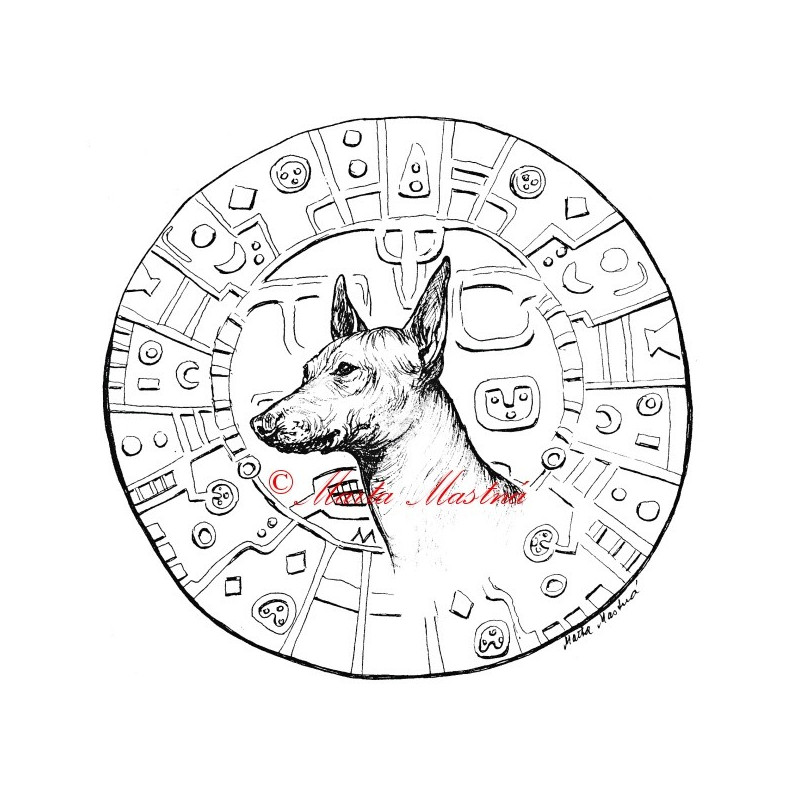 Samolepka peruánský naháč