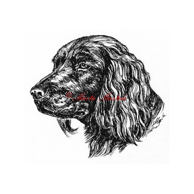 Samolepka německý křepelák