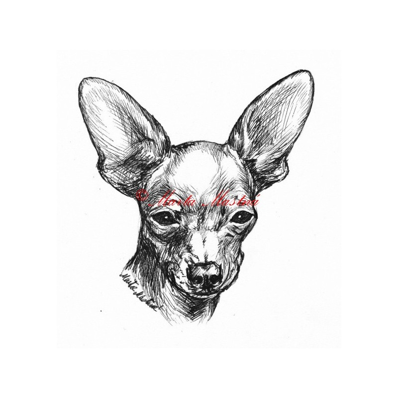 Samolepka pražský krysařík