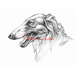 Samolepka barzoj, ruský chrt