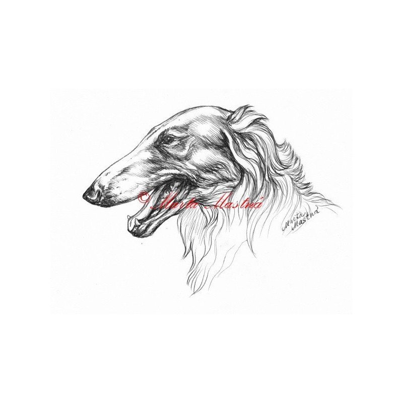 Samolepka barzoj, ruský chrt