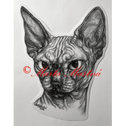 Samolepka kočka sfinx, sphinx