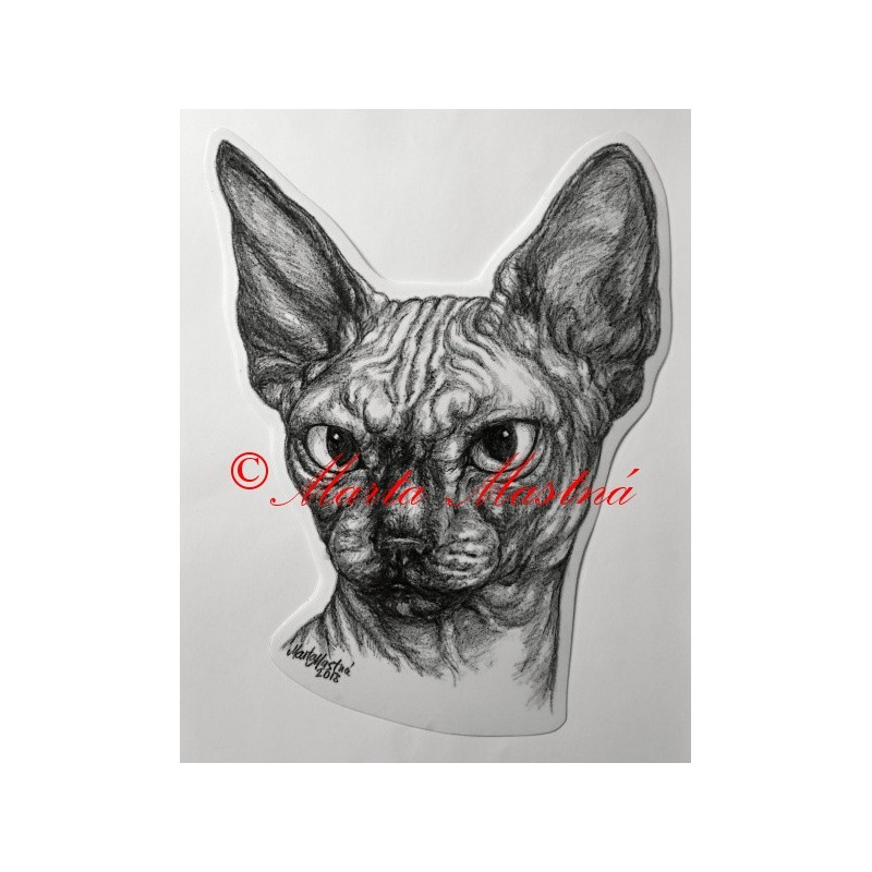 Samolepka kočka sfinx, sphinx