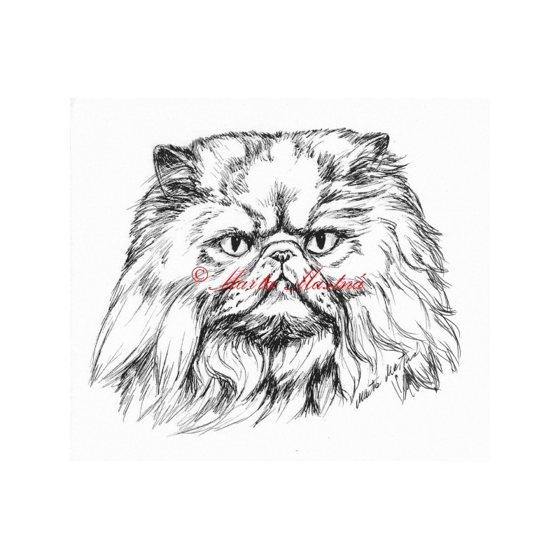 Samolepka kočka perská