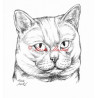 Samolepka kočka britská