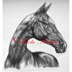 Samolepka hafling, kůň, koně