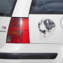 Svatobernardský pes -bernardýn