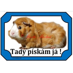 Tabulka morče rozeta