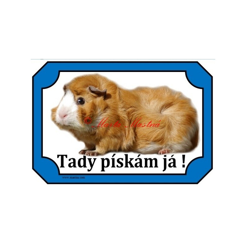 Tabulka morče rozeta