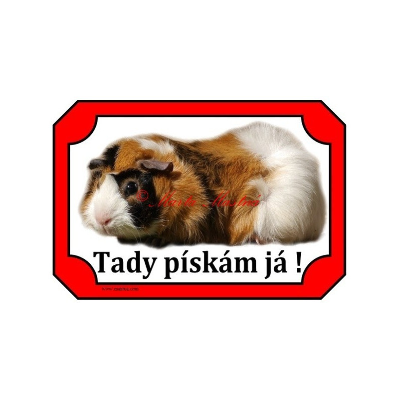 Tabulka morče rozeta