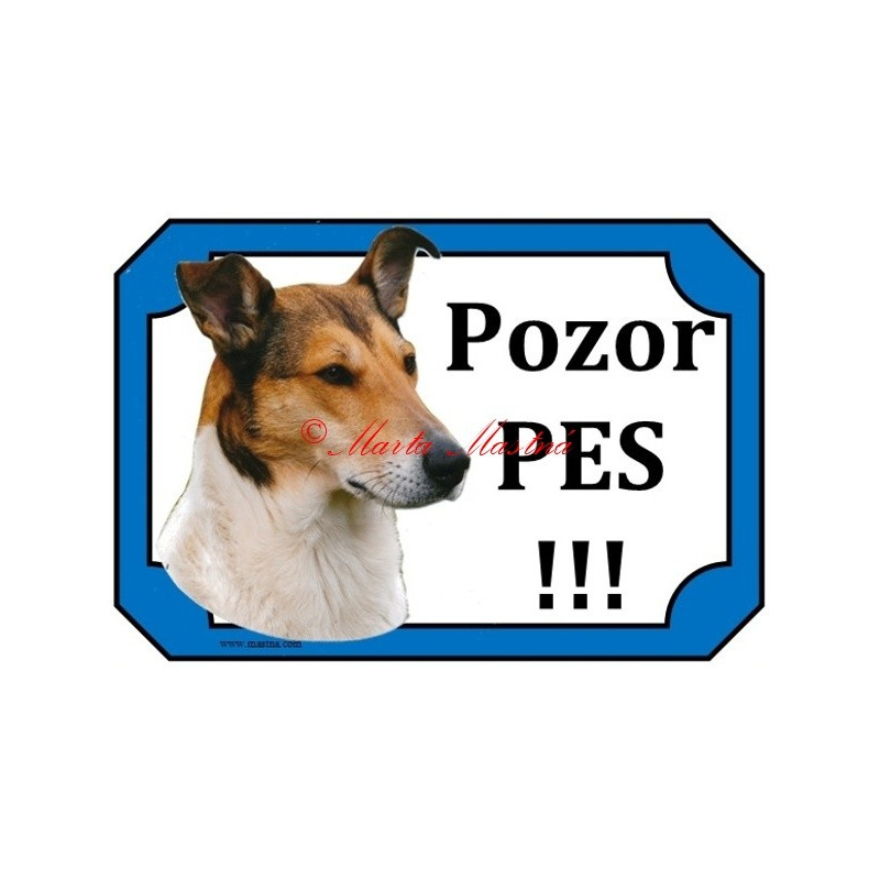 Tabulka kolie krátkosrstá