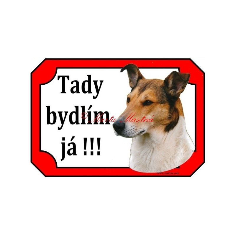 Tabulka kolie krátkosrstá