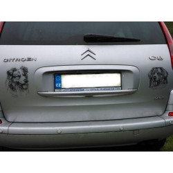 Bernský salašnický pes