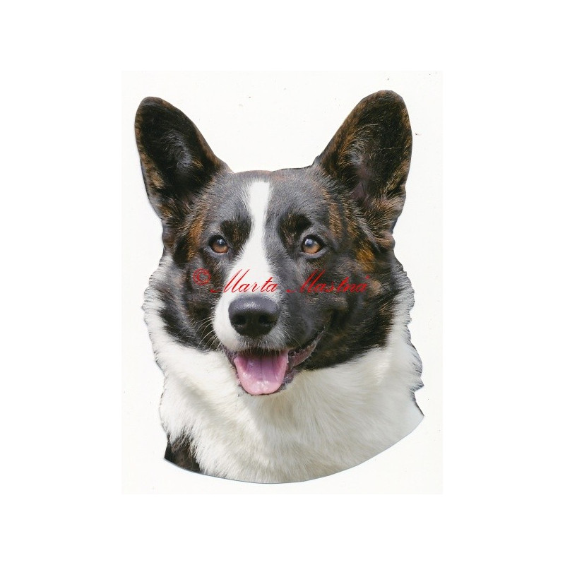 Samolepka velškorgi pembrok