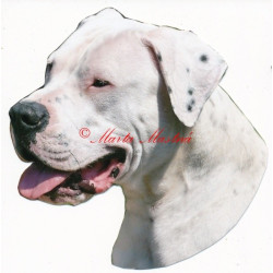 Samolepka argentinská doga