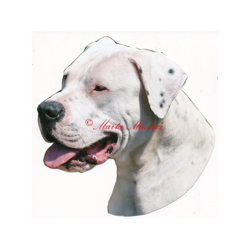 Samolepka argentinská doga