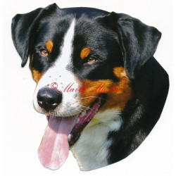 Samolepka appenzelský salašnický pes