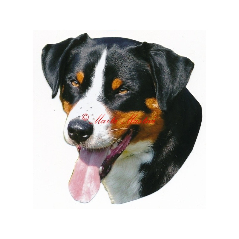 Samolepka appenzelský salašnický pes