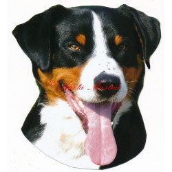 Samolepka appenzelský salašnický pes