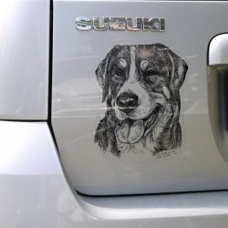 Velký švýcarský salašnický pes