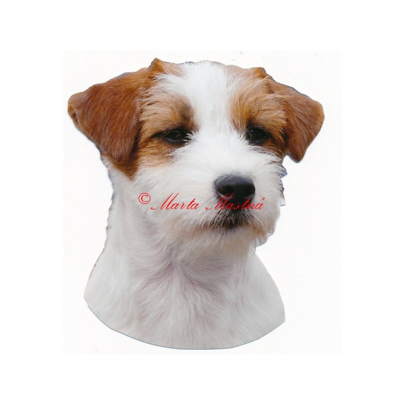 Samolepka Parson Russel, Jack Russel teriér