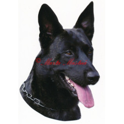 Samolepka holandský ovčák