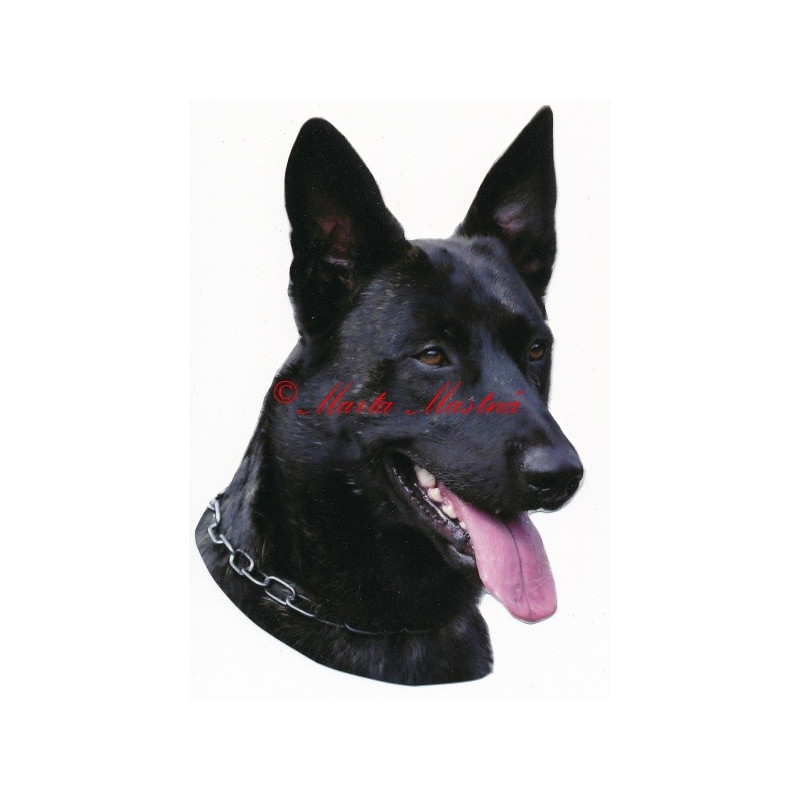 Samolepka holandský ovčák