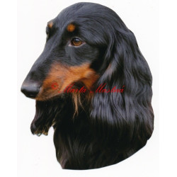 Samolepka jezevčík dlouhosrstý