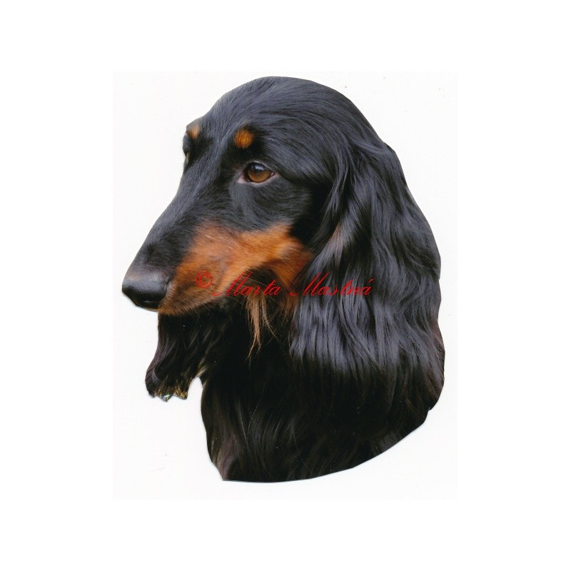 Samolepka jezevčík dlouhosrstý