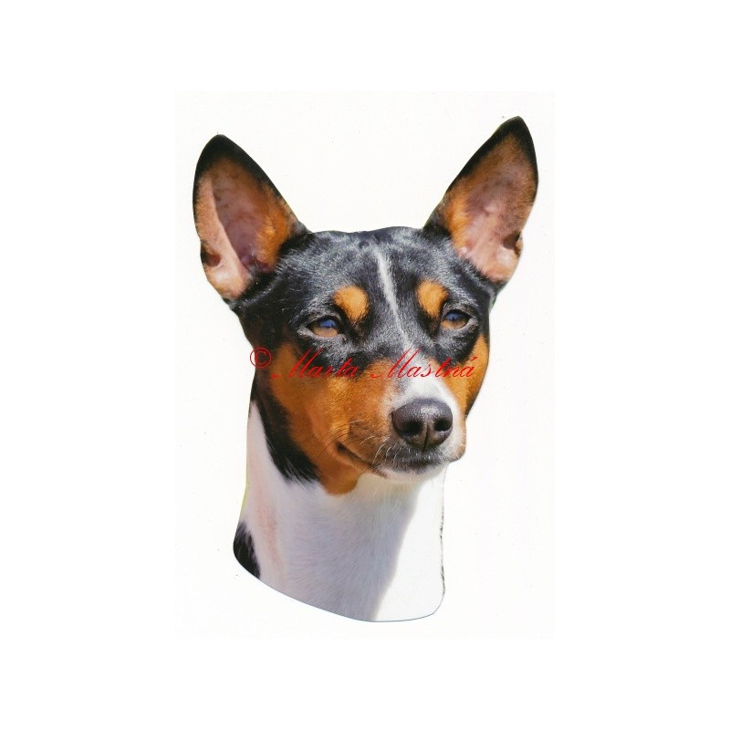 Samolepka basenži, basenji