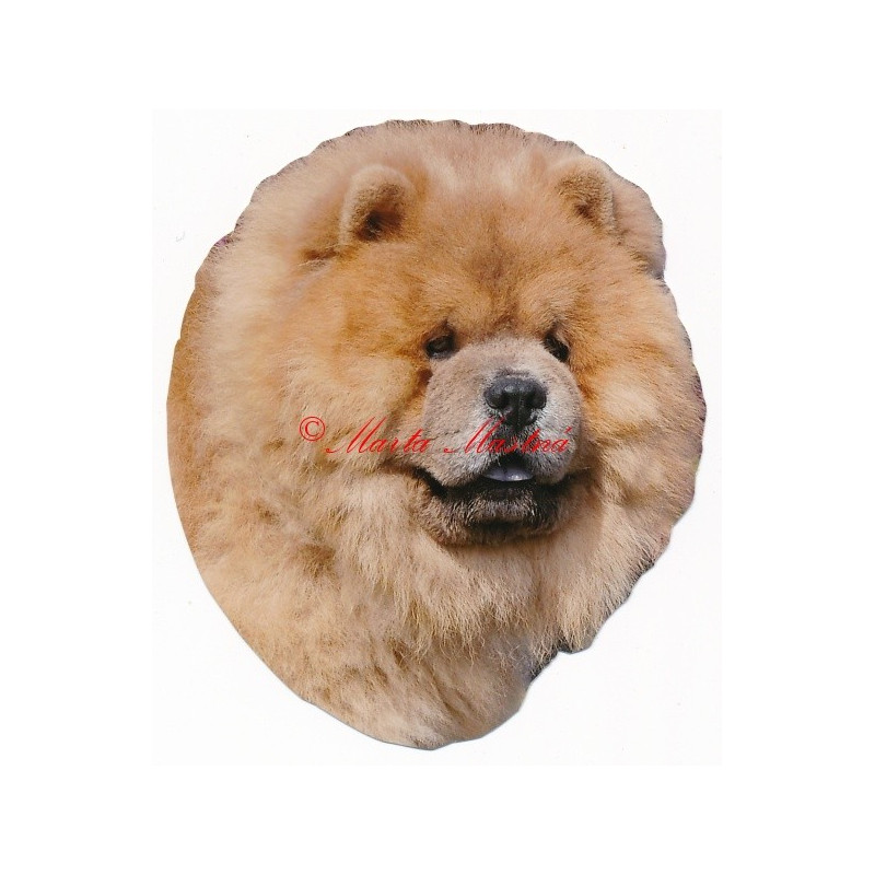 Samolepka čaučau, chow chow