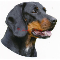 Samolepka polský honič