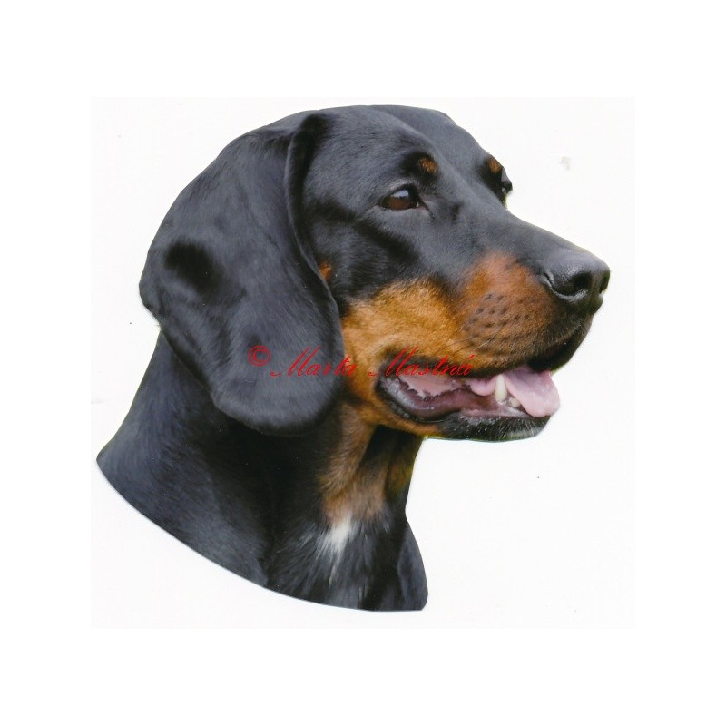 Samolepka polský honič