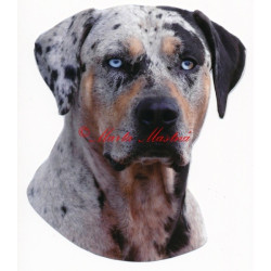 Samolepka louisiana catahoula leopard dog